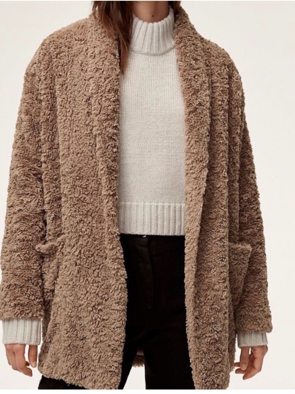 Aritzia Grete Teddy Coat